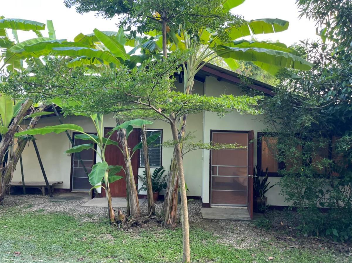Brown House Chiangdao Vandrarhem Chiang Dao Exteriör bild