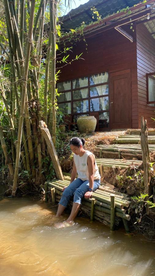 Brown House Chiangdao Vandrarhem Chiang Dao Exteriör bild