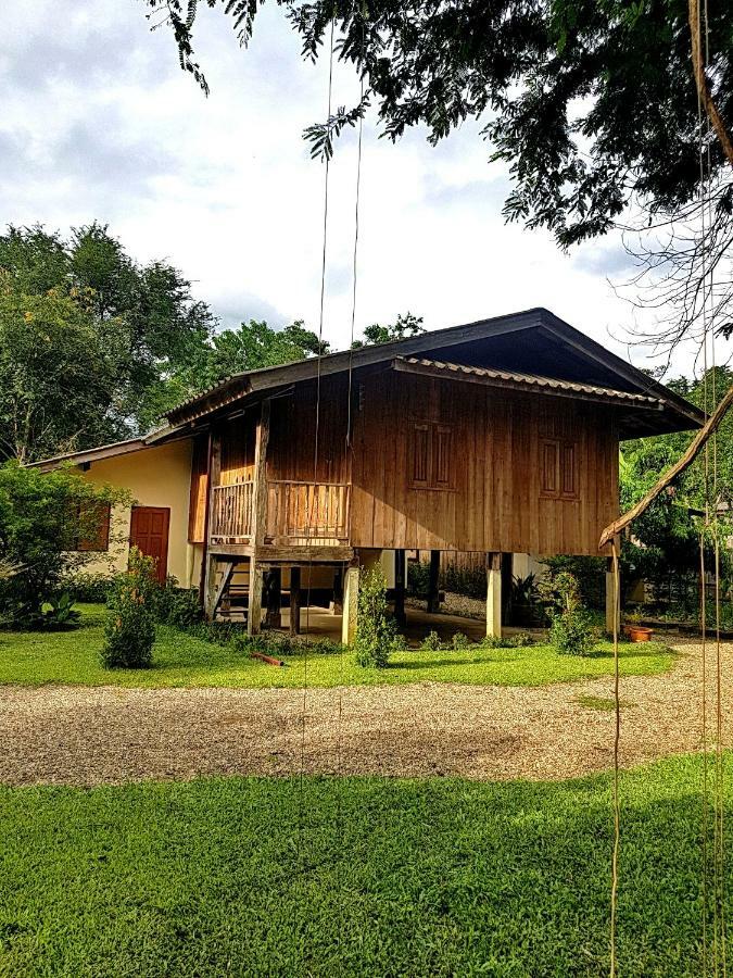 Brown House Chiangdao Vandrarhem Chiang Dao Exteriör bild